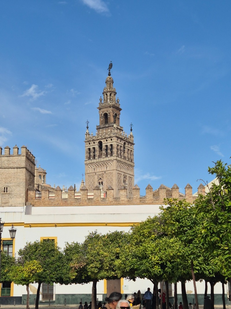 KakaoTalk_Photo_2025-11-28-15-21-24 001.jpeg