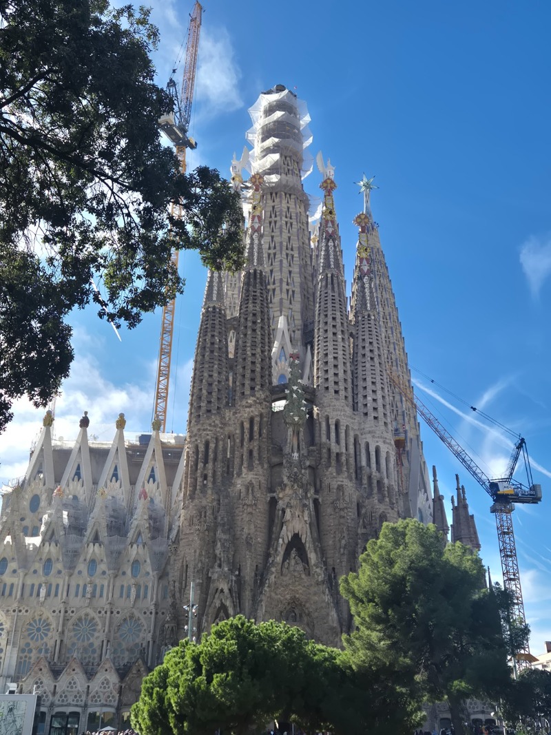 KakaoTalk_Photo_2025-11-28-15-21-24 002.jpeg