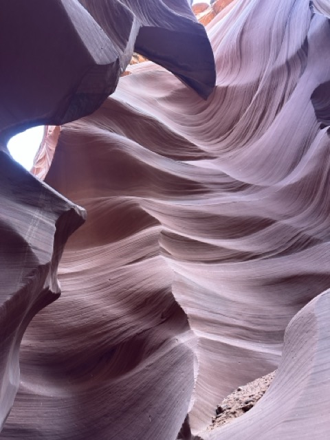 문동국 미국 캐나다-11 023 중간.jpeg